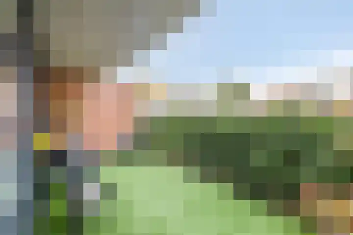 Maïsberg 146 Roosendaal thumbnail 12