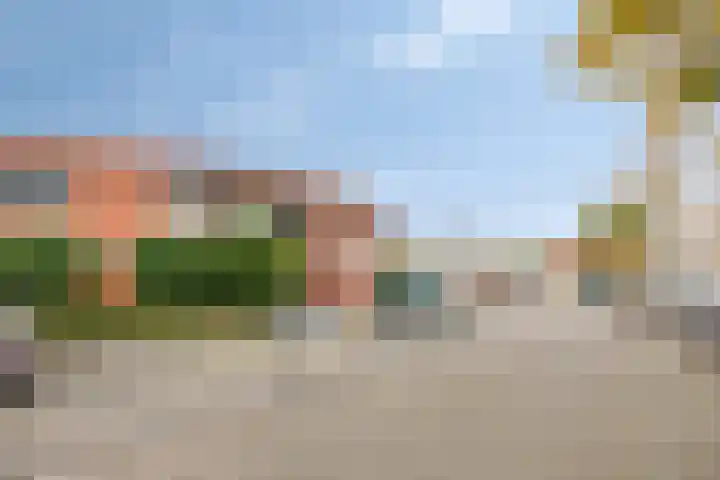 Maïsberg 146 Roosendaal thumbnail 22