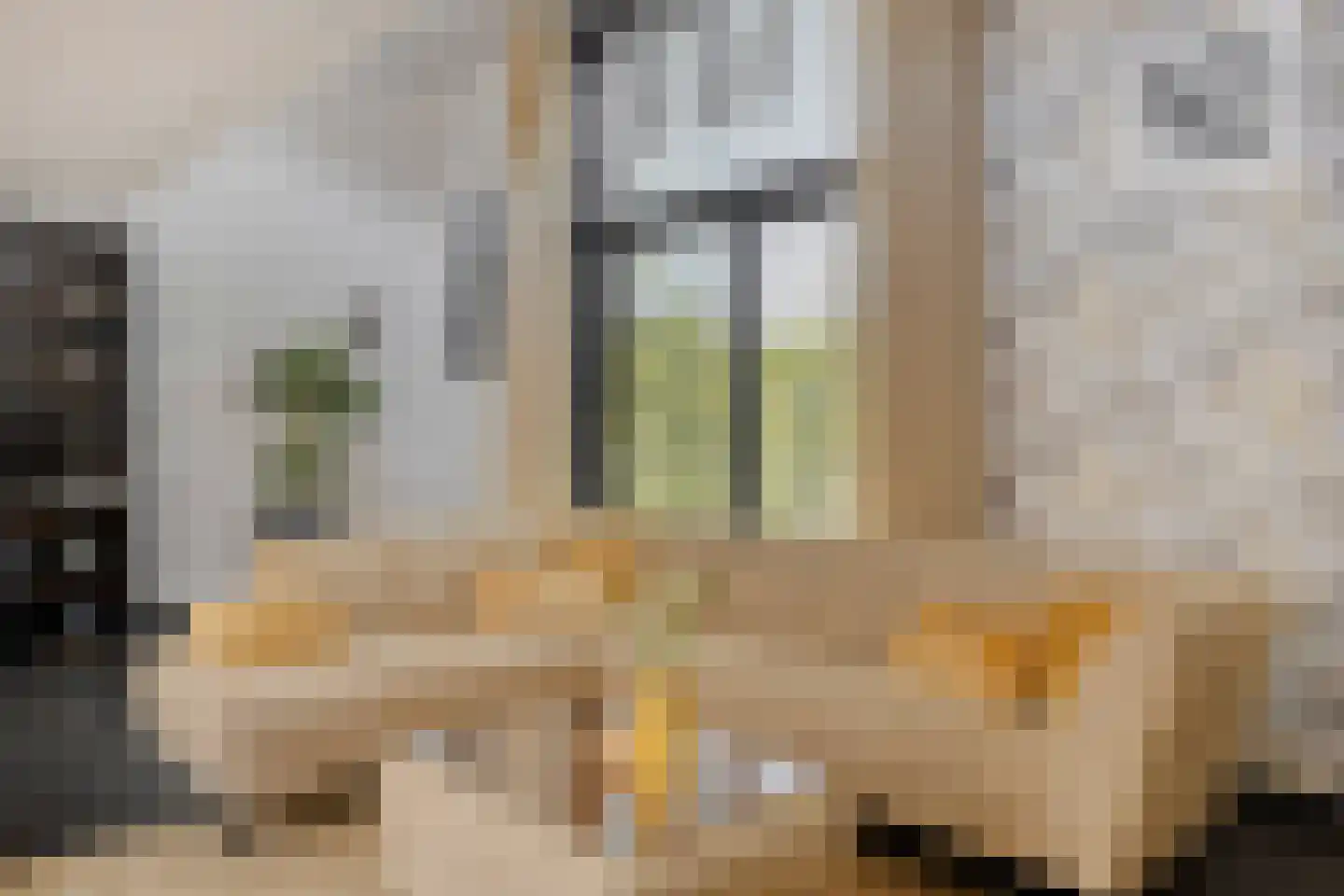 Maïsberg 15 Roosendaal thumbnail 15