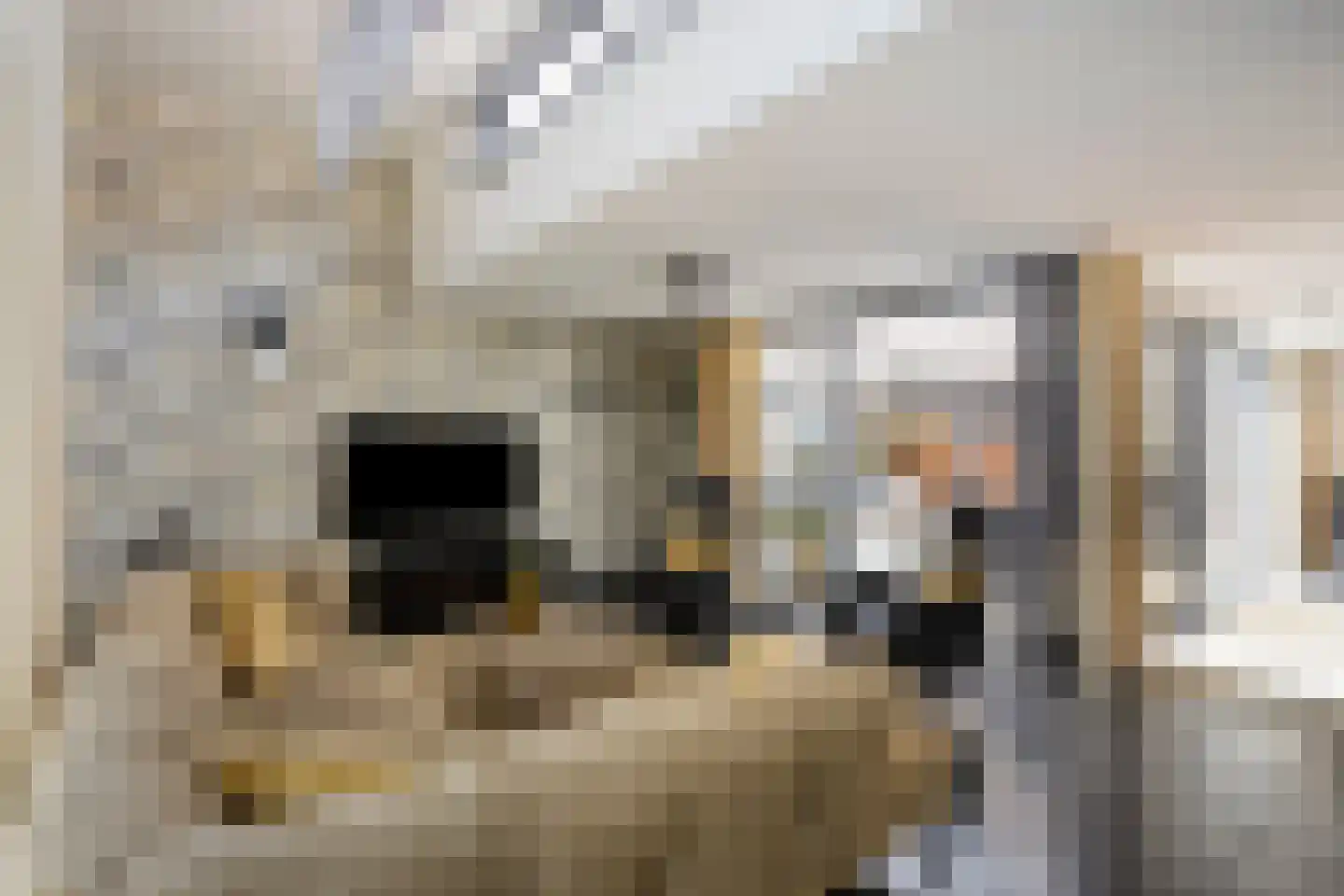 Maïsberg 15 Roosendaal thumbnail 19