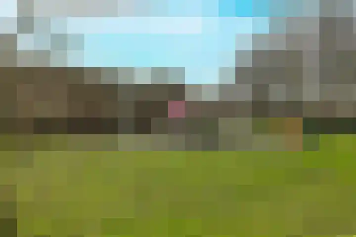 Maïsberg 67 Roosendaal thumbnail 38