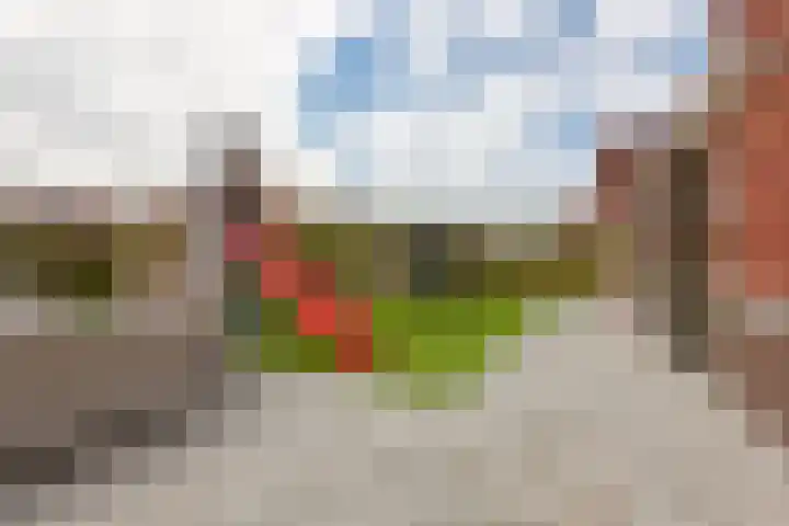 Maiskamp 47 Den Haag thumbnail 13