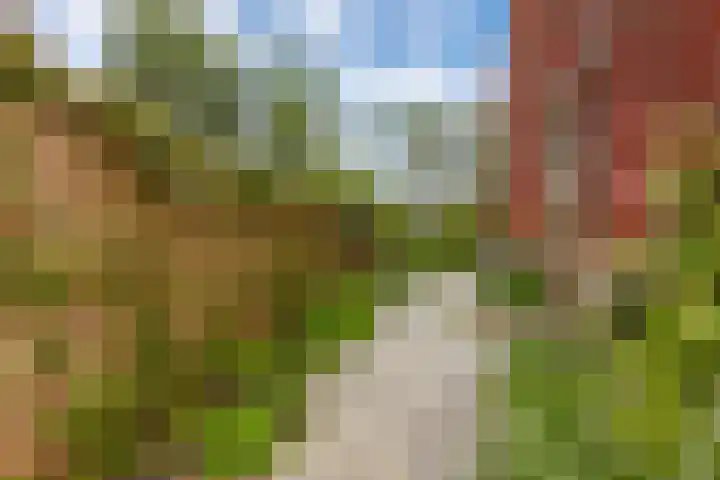 Maiskamp 47 Den Haag thumbnail 14