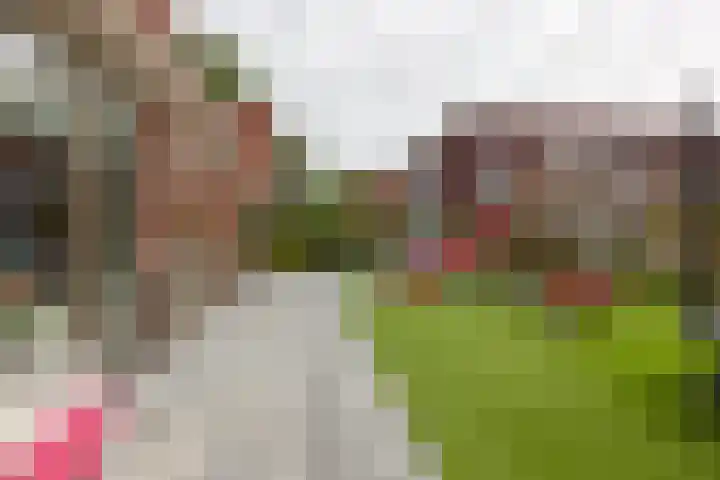 Maiskamp 47 Den Haag thumbnail 15