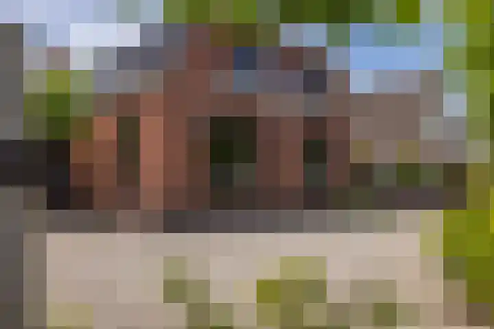 Maiskamp 47 Den Haag thumbnail 31