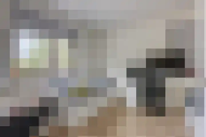 Maiskamp 47 Den Haag thumbnail 33