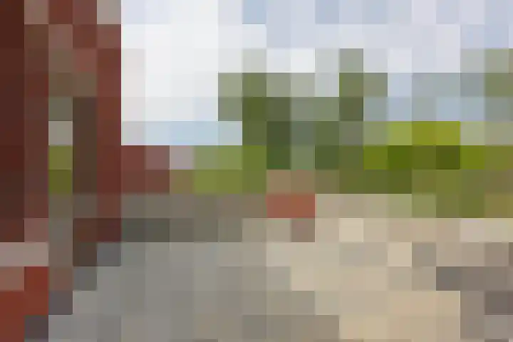 Maiskamp 47 Den Haag thumbnail 36