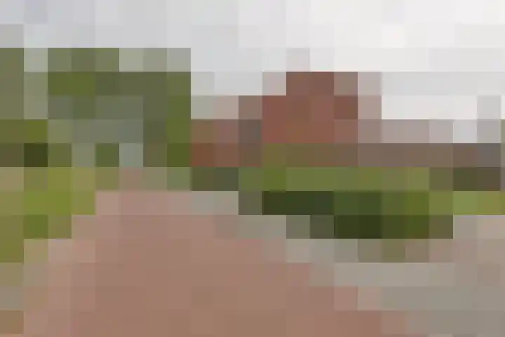 Maiskamp 47 Den Haag thumbnail 38