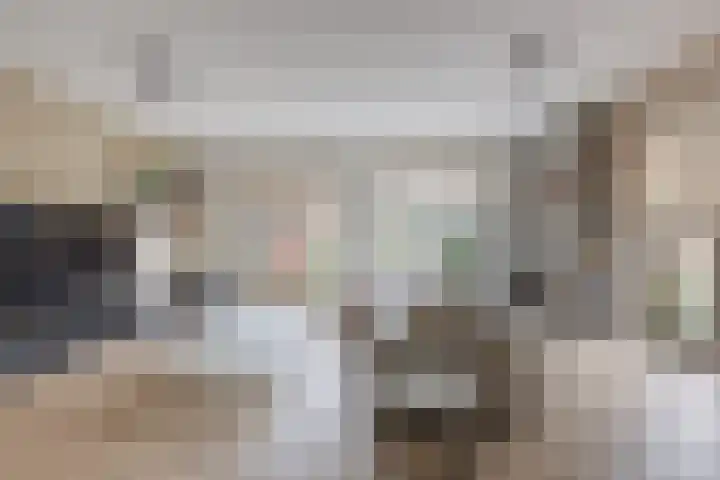 Maiskamp 47 Den Haag thumbnail 4