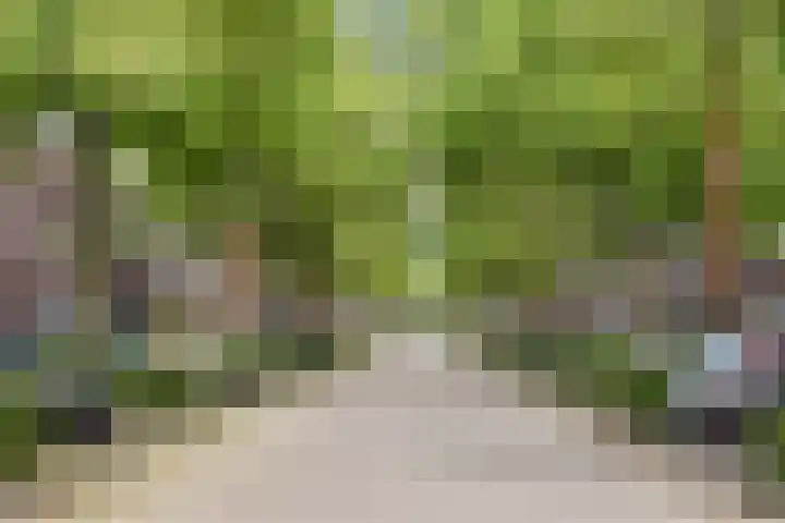 Maiskamp 47 Den Haag thumbnail 6