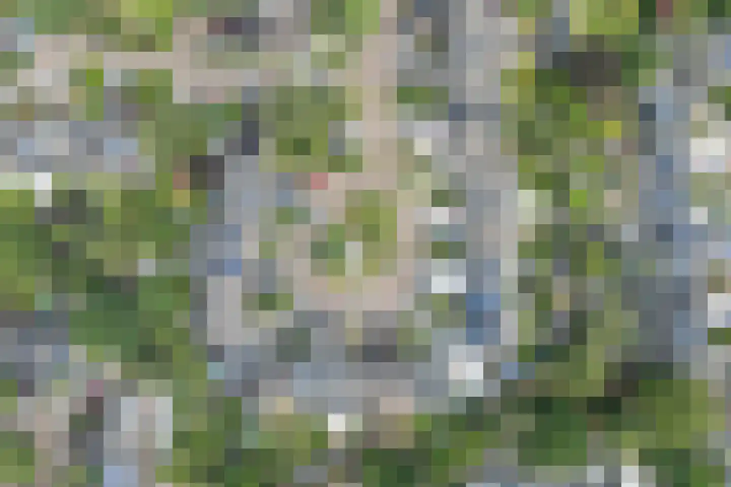 Maisland 21 Leusden thumbnail 25