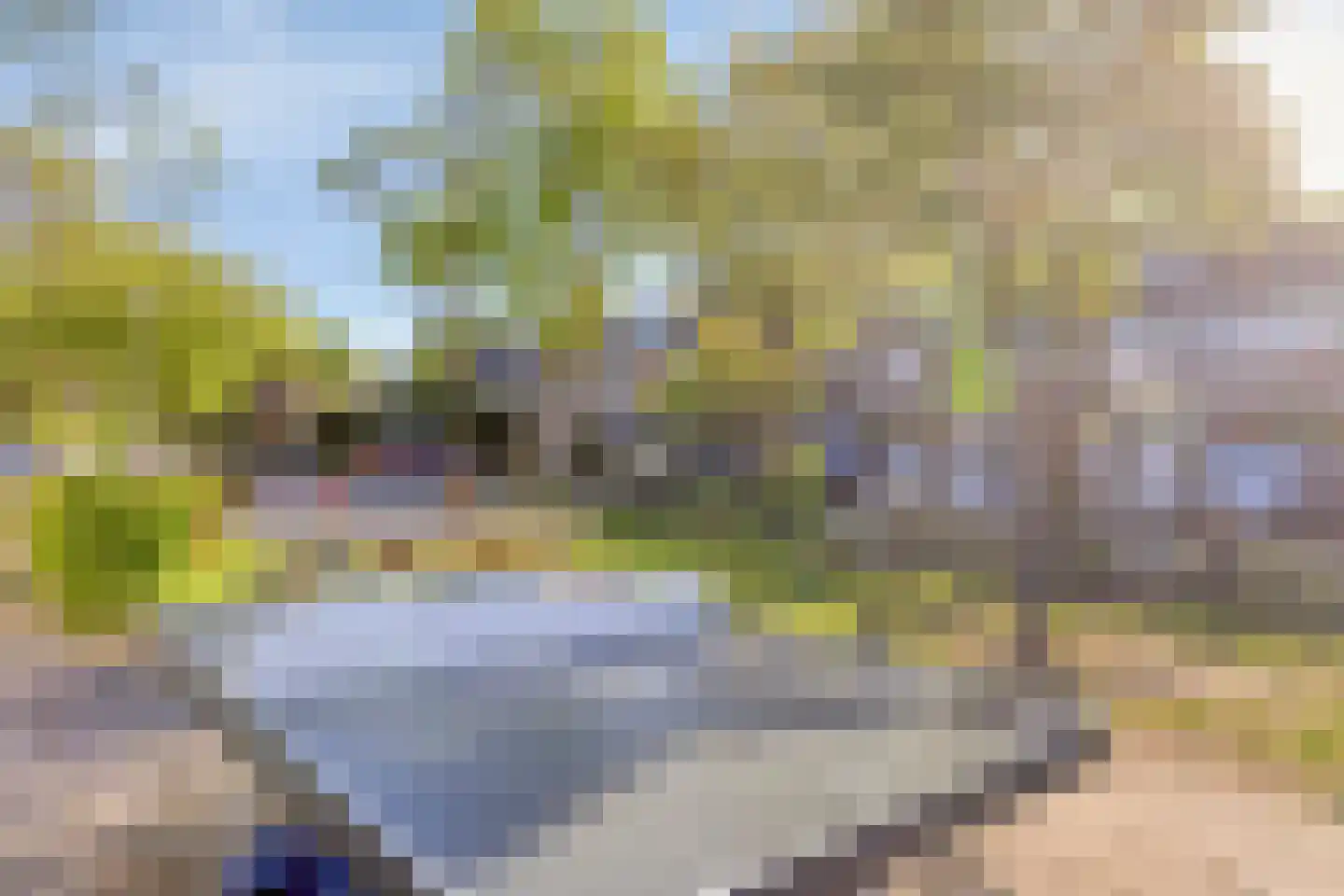 Maisland 4 Leusden thumbnail 37
