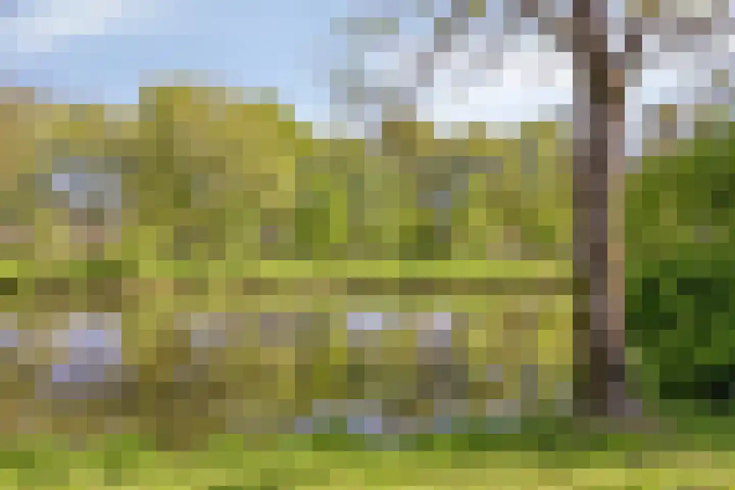 Maisland 4 Leusden thumbnail 38