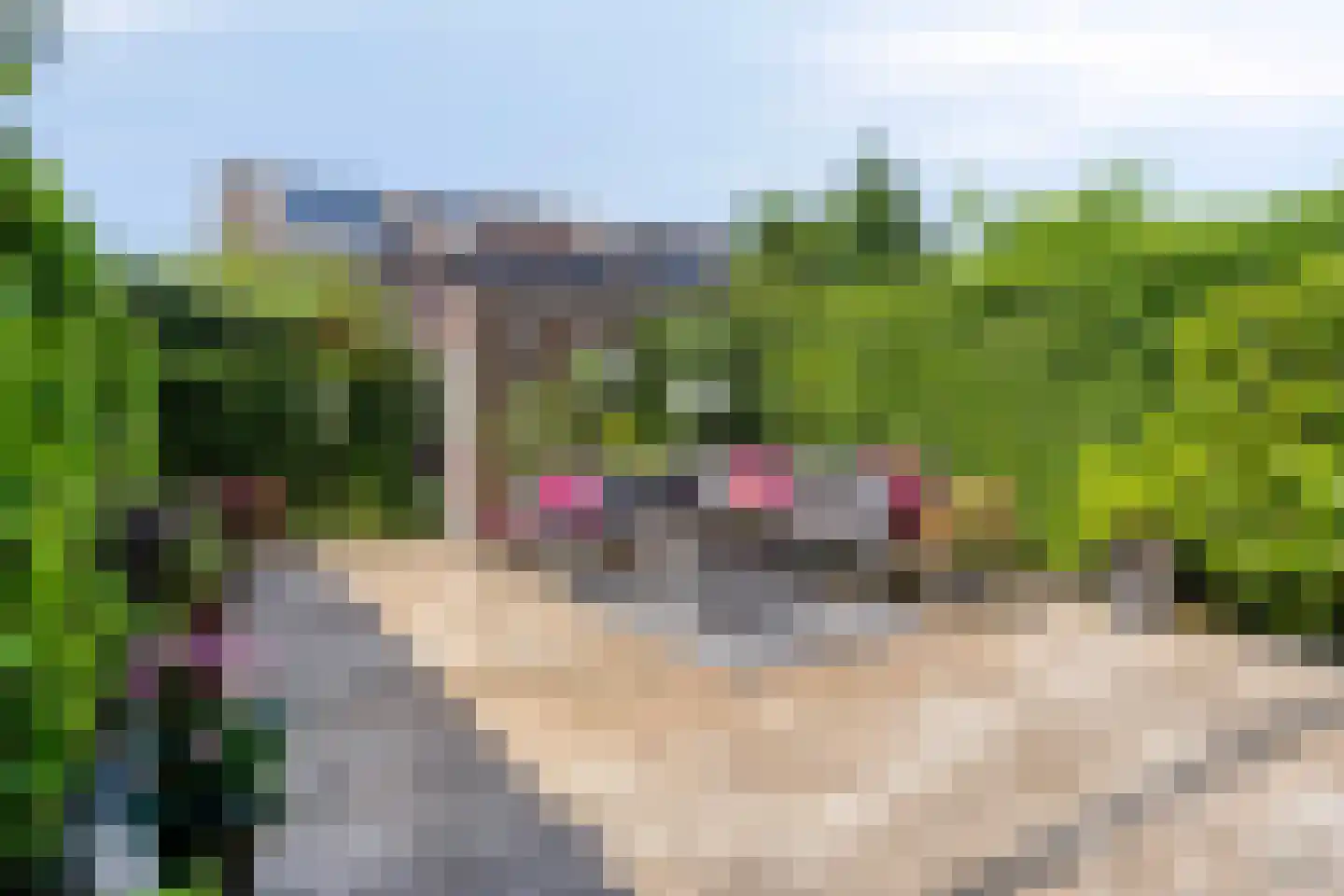 Maïsveld 1 Bergschenhoek thumbnail 10