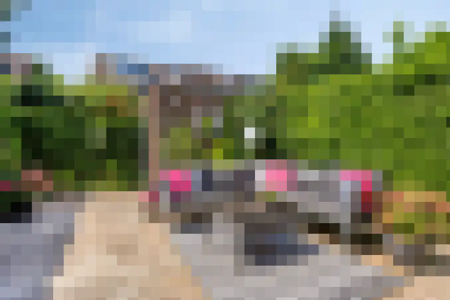 Maïsveld 1 Bergschenhoek thumbnail 11