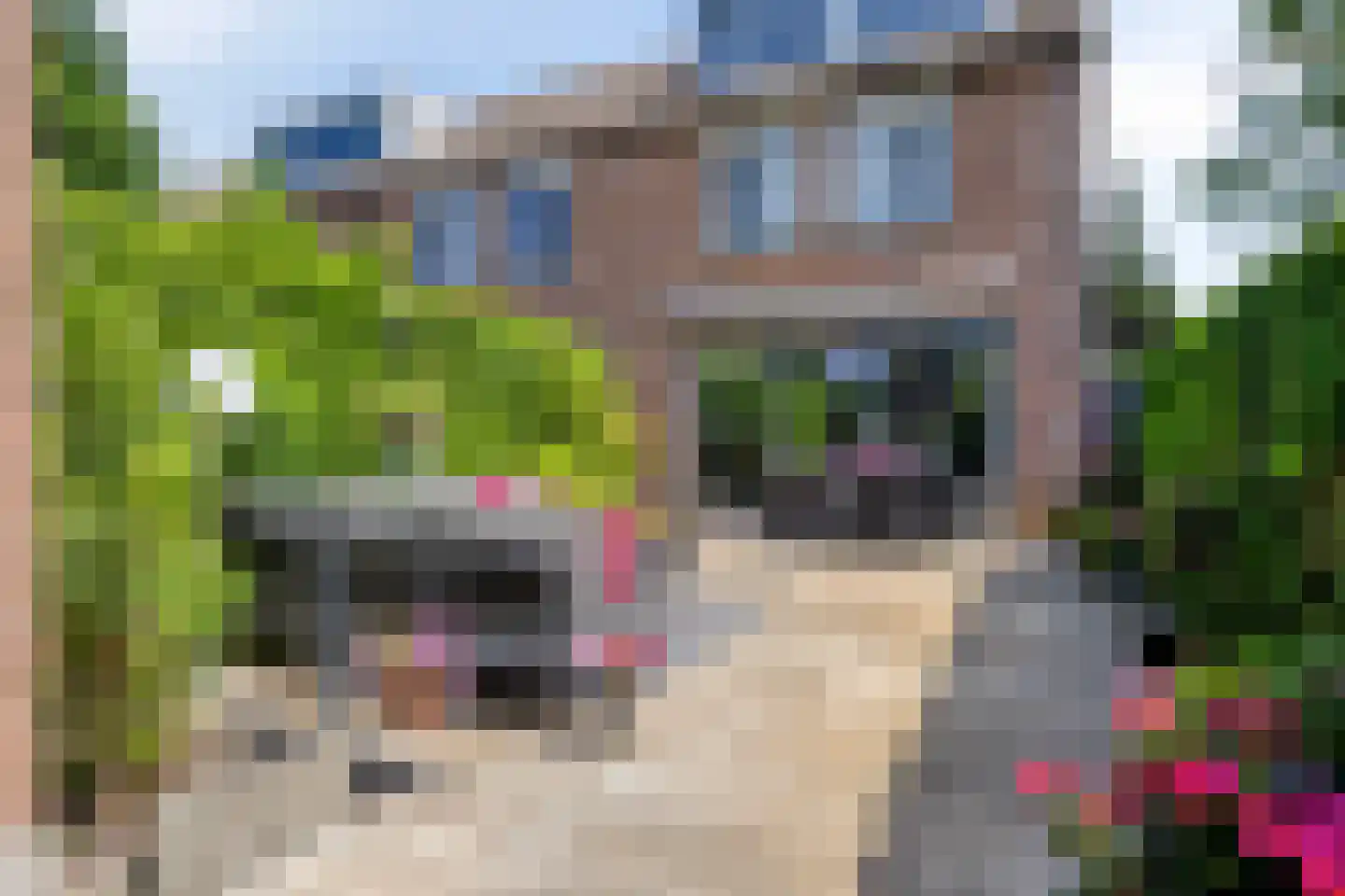 Maïsveld 1 Bergschenhoek thumbnail 12