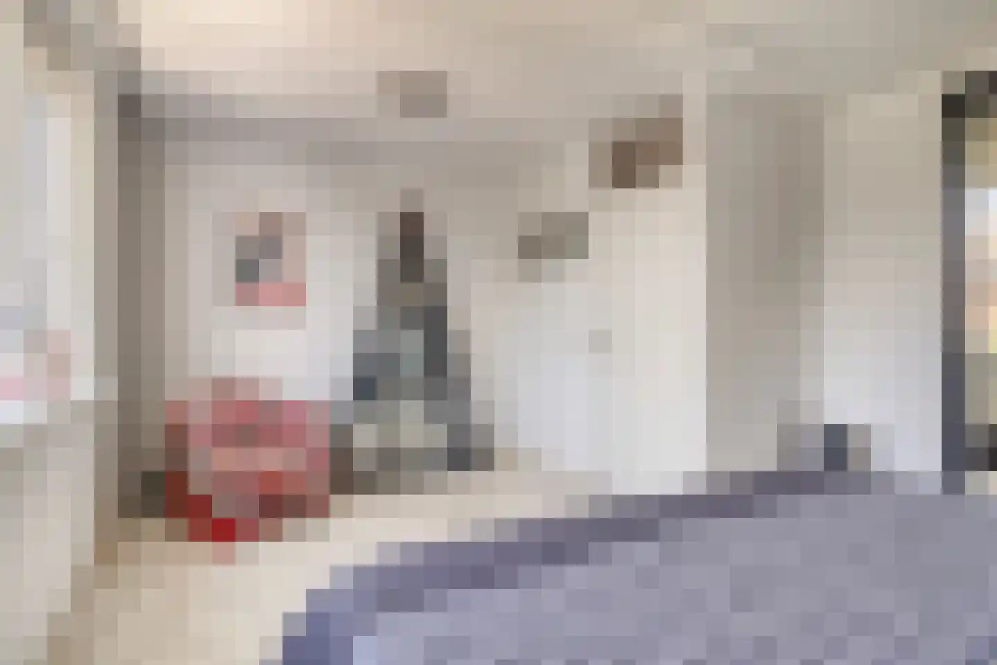 Maïsveld 1 Bergschenhoek thumbnail 20