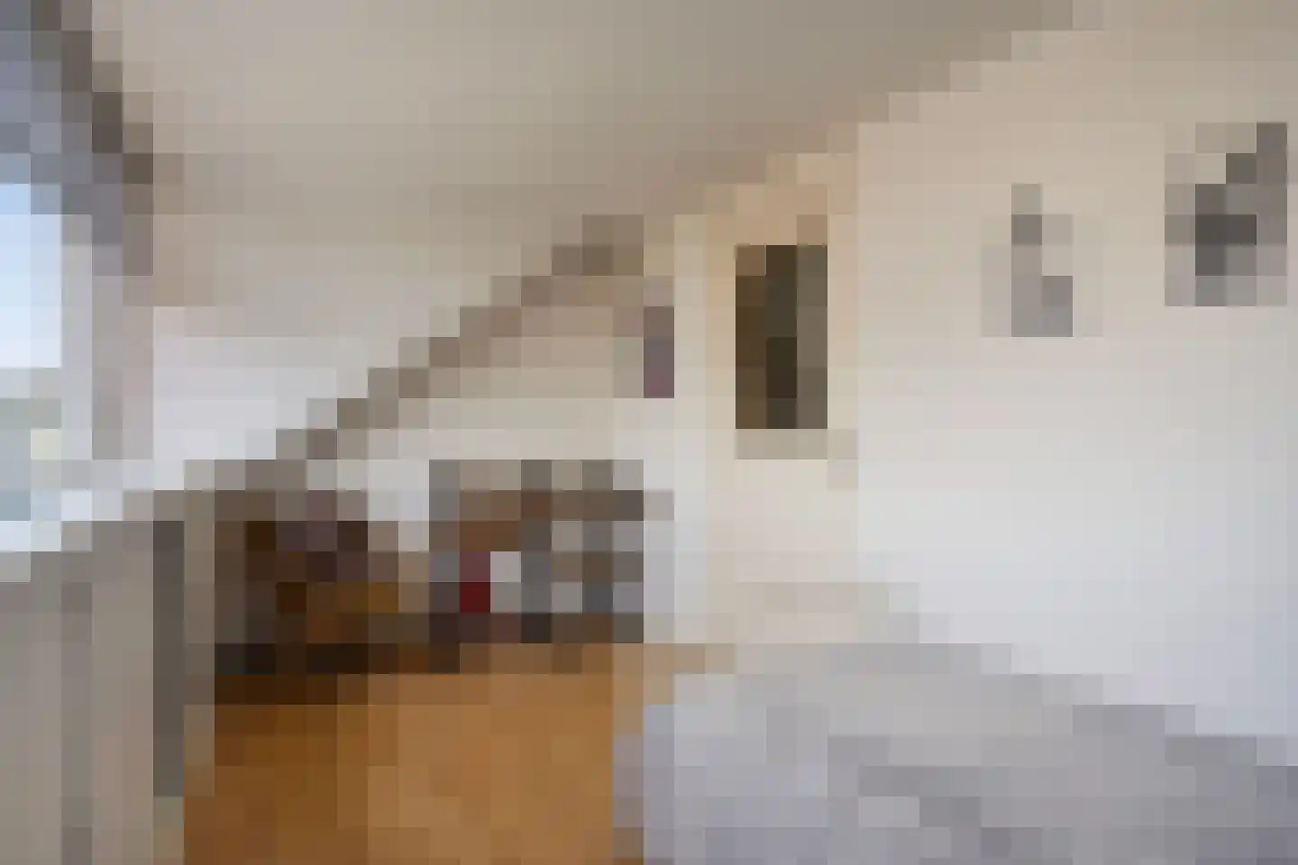 Maïsveld 1 Bergschenhoek thumbnail 30