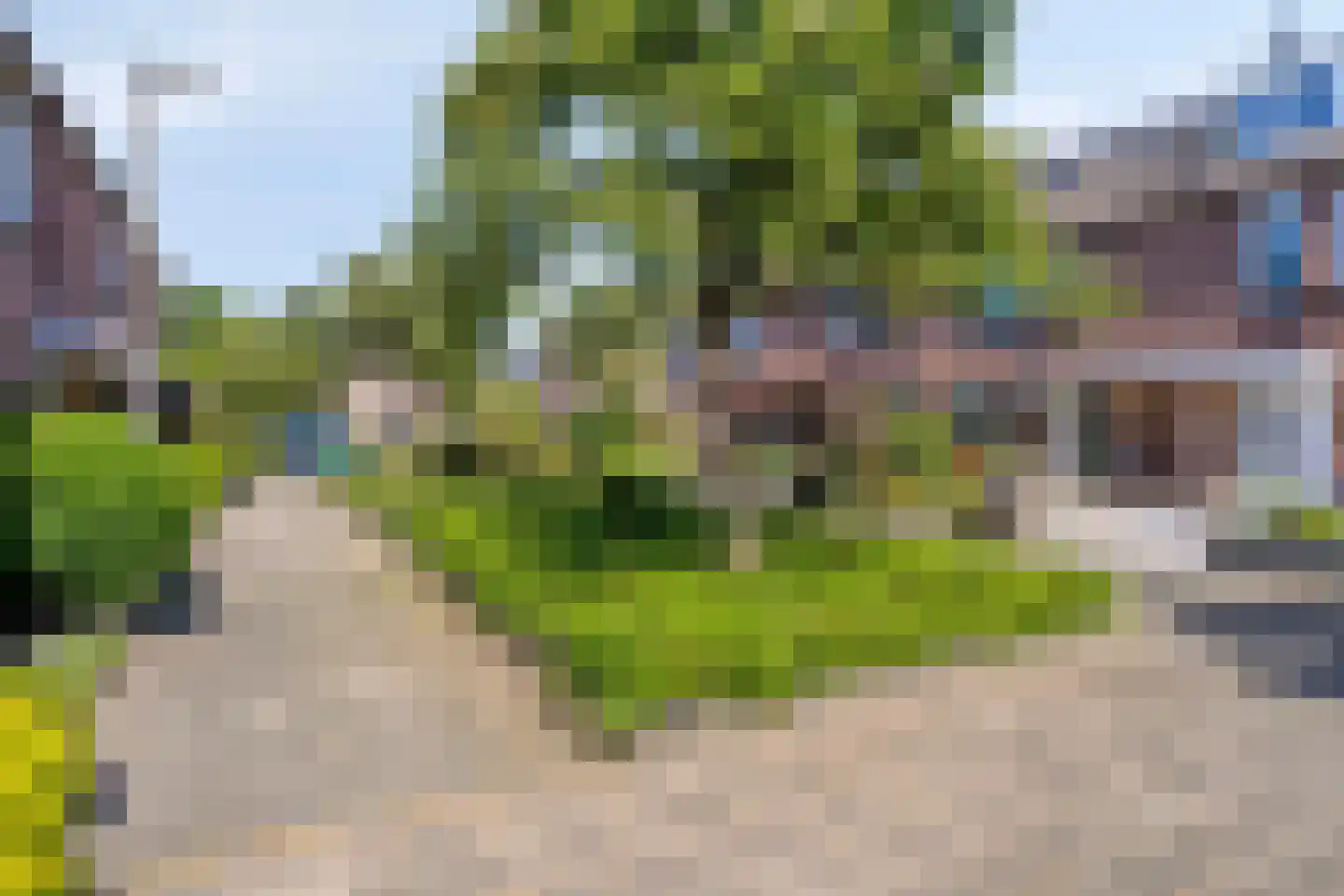 Maïsveld 1 Bergschenhoek thumbnail 31