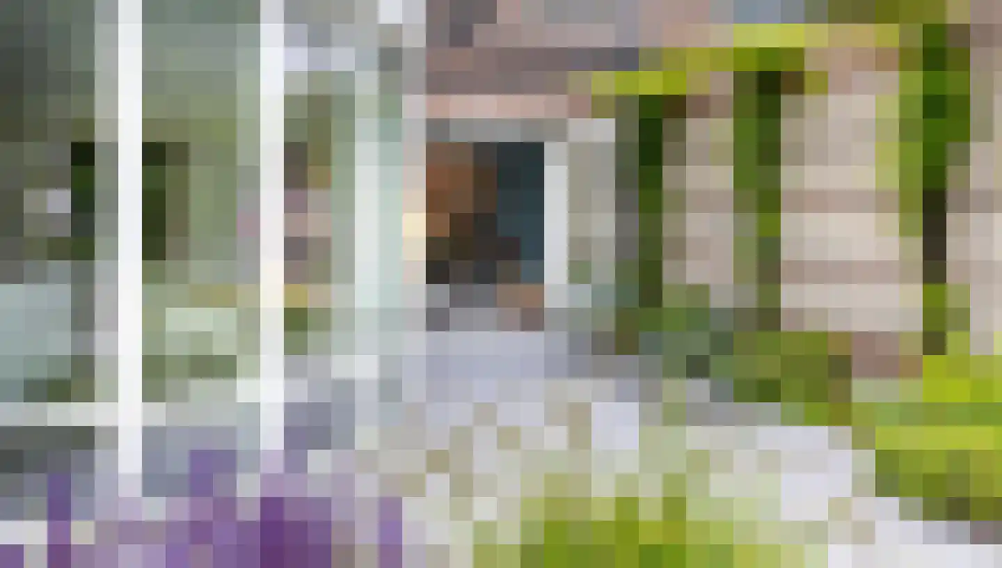Maïsveld 11 's-Hertogenbosch thumbnail 34