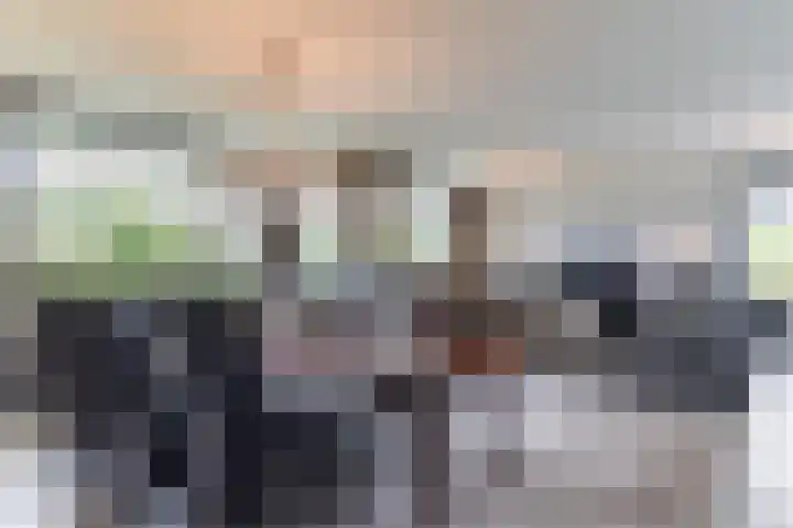 Maïsveld 20 's-Hertogenbosch thumbnail 12
