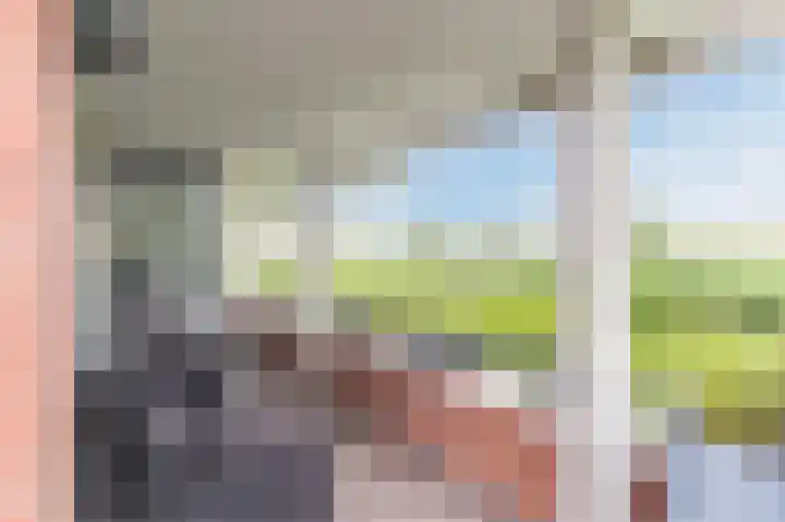 Maïsveld 20 's-Hertogenbosch thumbnail 30