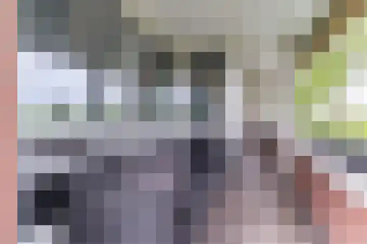 Maïsveld 20 's-Hertogenbosch thumbnail 31