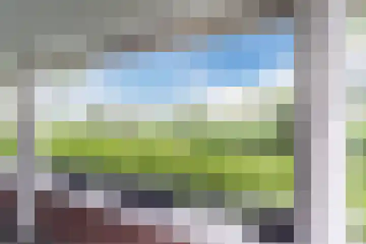 Maïsveld 20 's-Hertogenbosch thumbnail 32