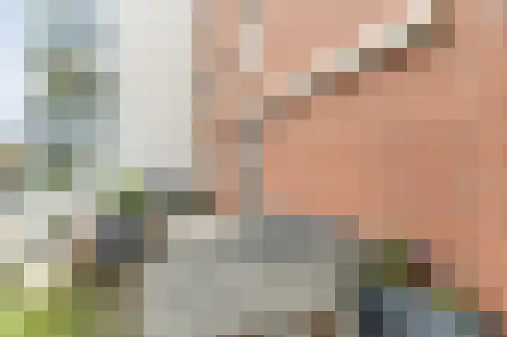 Maïsveld 20 's-Hertogenbosch thumbnail 33