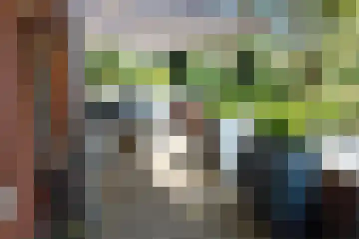 Maïsveld 20 's-Hertogenbosch thumbnail 51