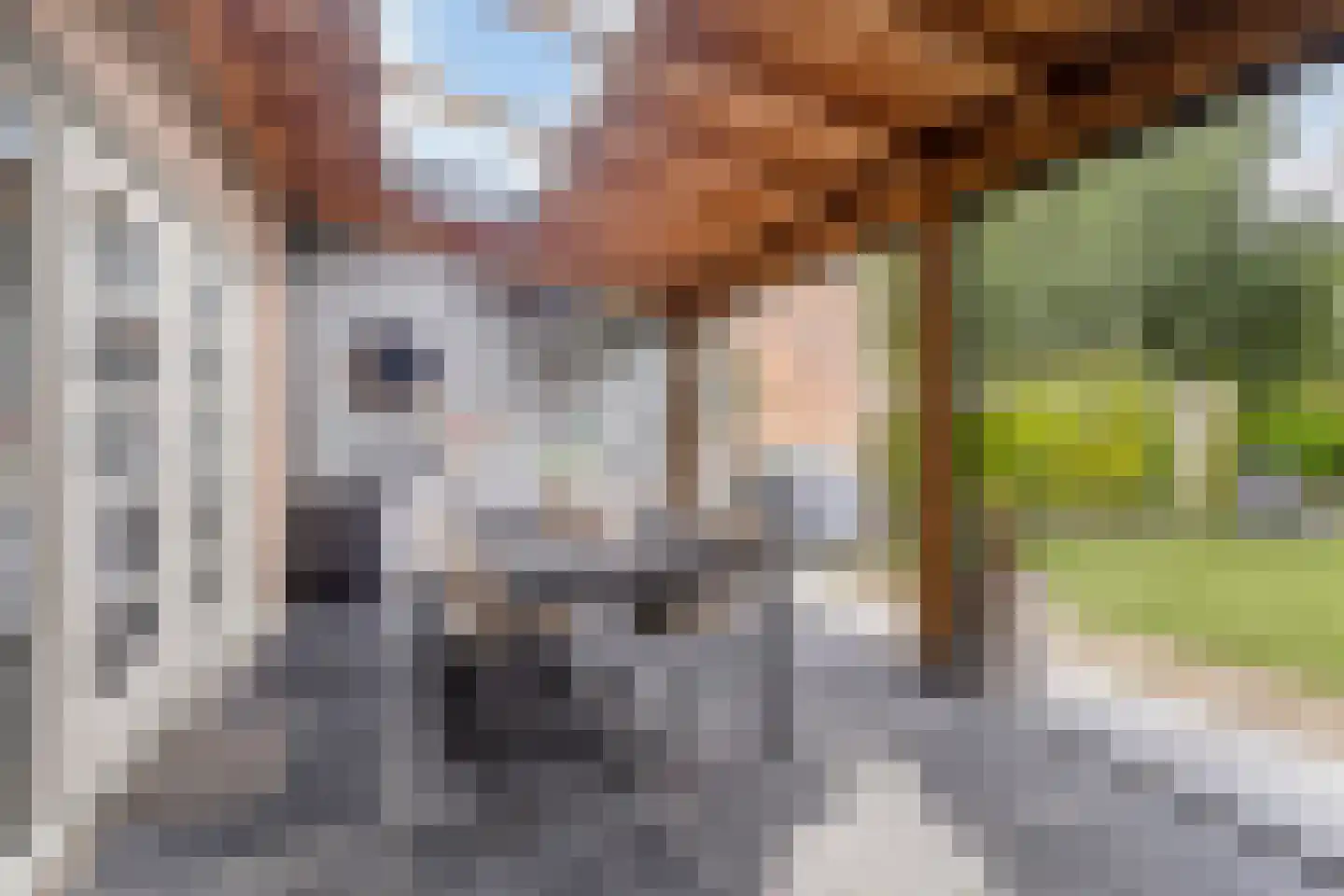 Maïsveld 21 's-Hertogenbosch thumbnail 14
