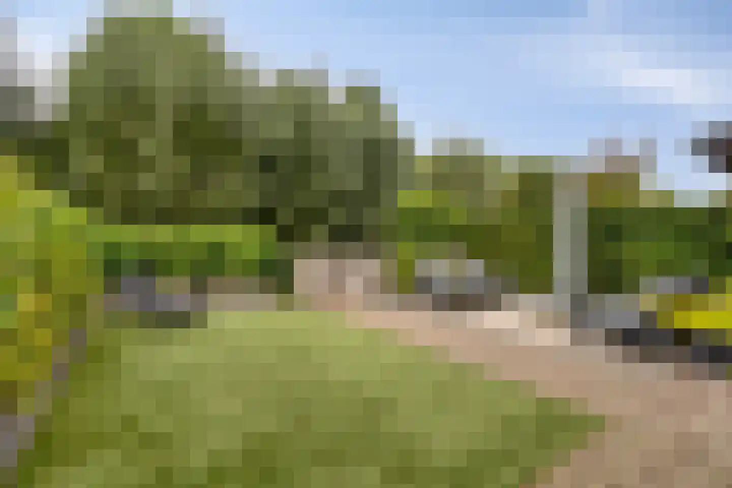 Maïsveld 21 's-Hertogenbosch thumbnail 15