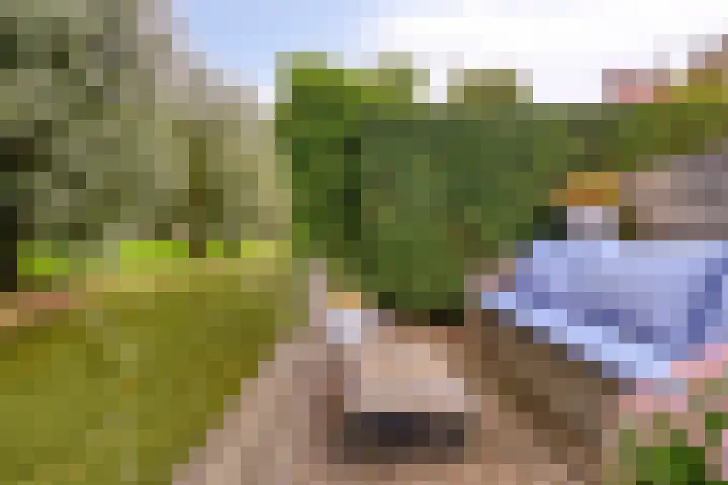 Maïsveld 21 's-Hertogenbosch thumbnail 17