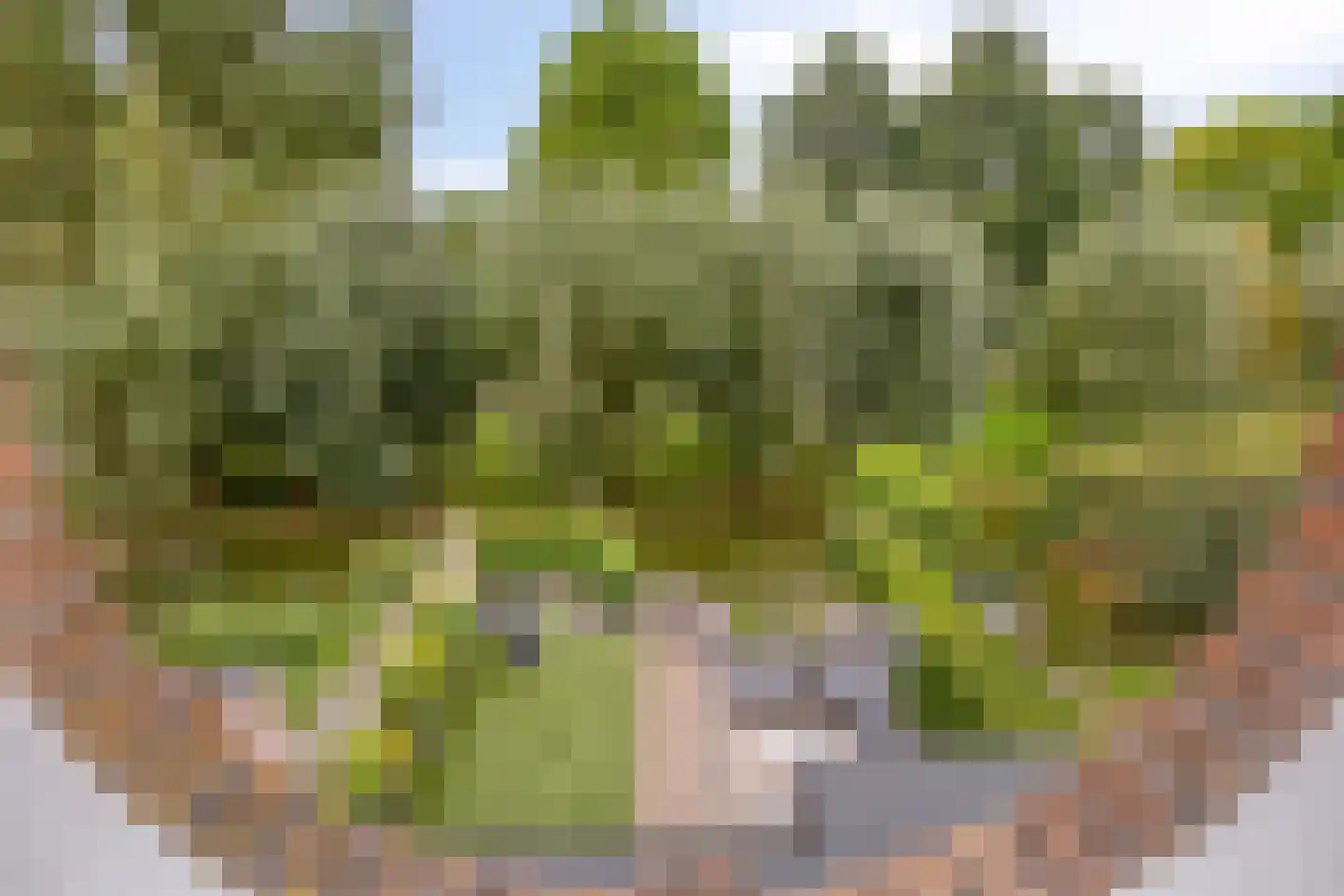Maïsveld 21 's-Hertogenbosch thumbnail 31