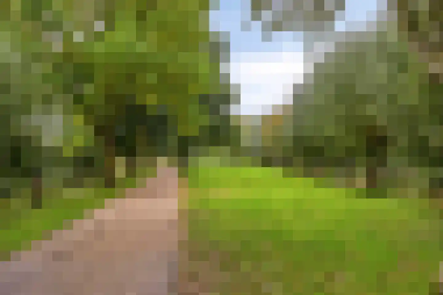 Maïsveld 21 's-Hertogenbosch thumbnail 39
