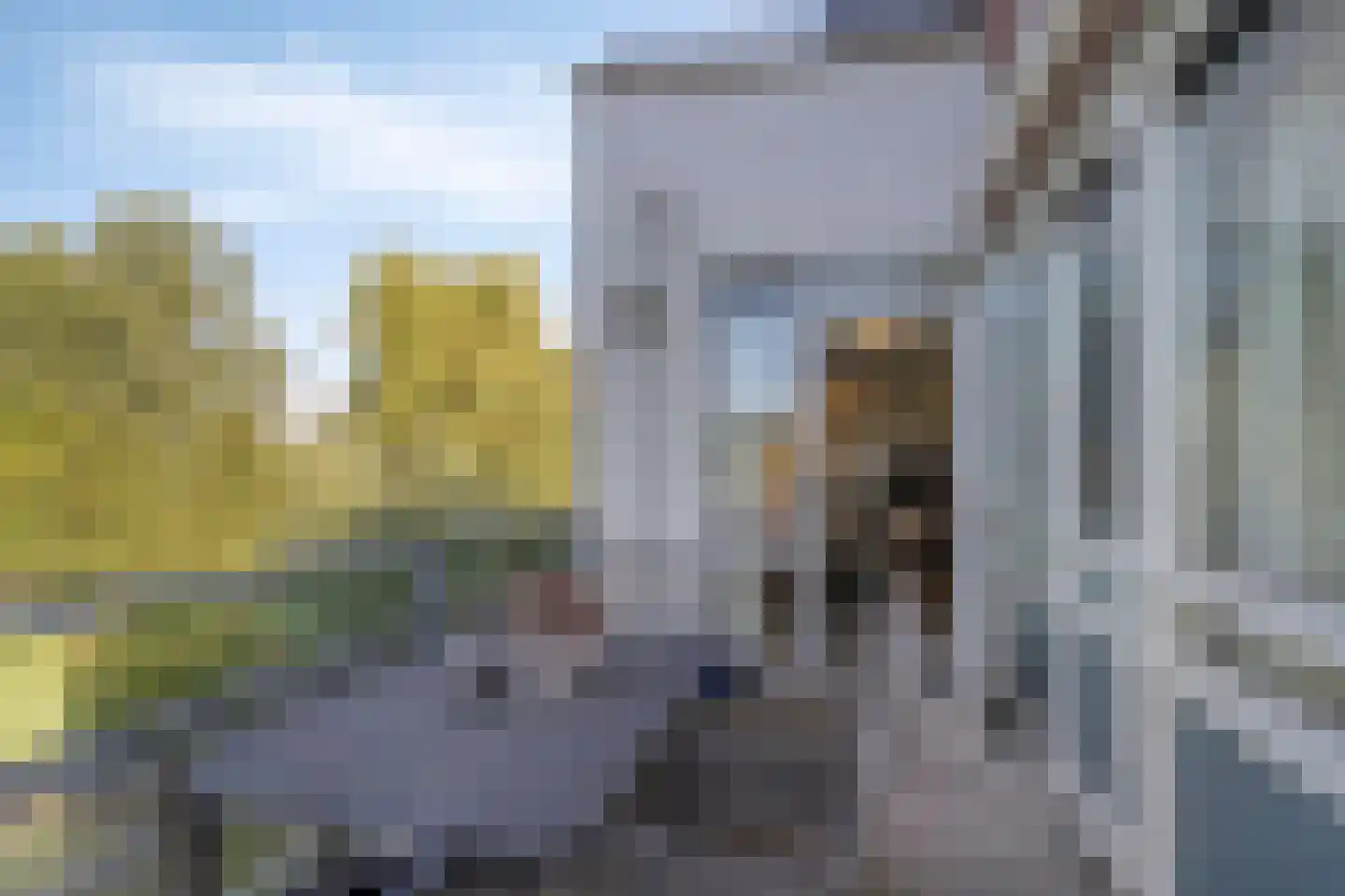Maïsveld 32 's-Hertogenbosch thumbnail 12