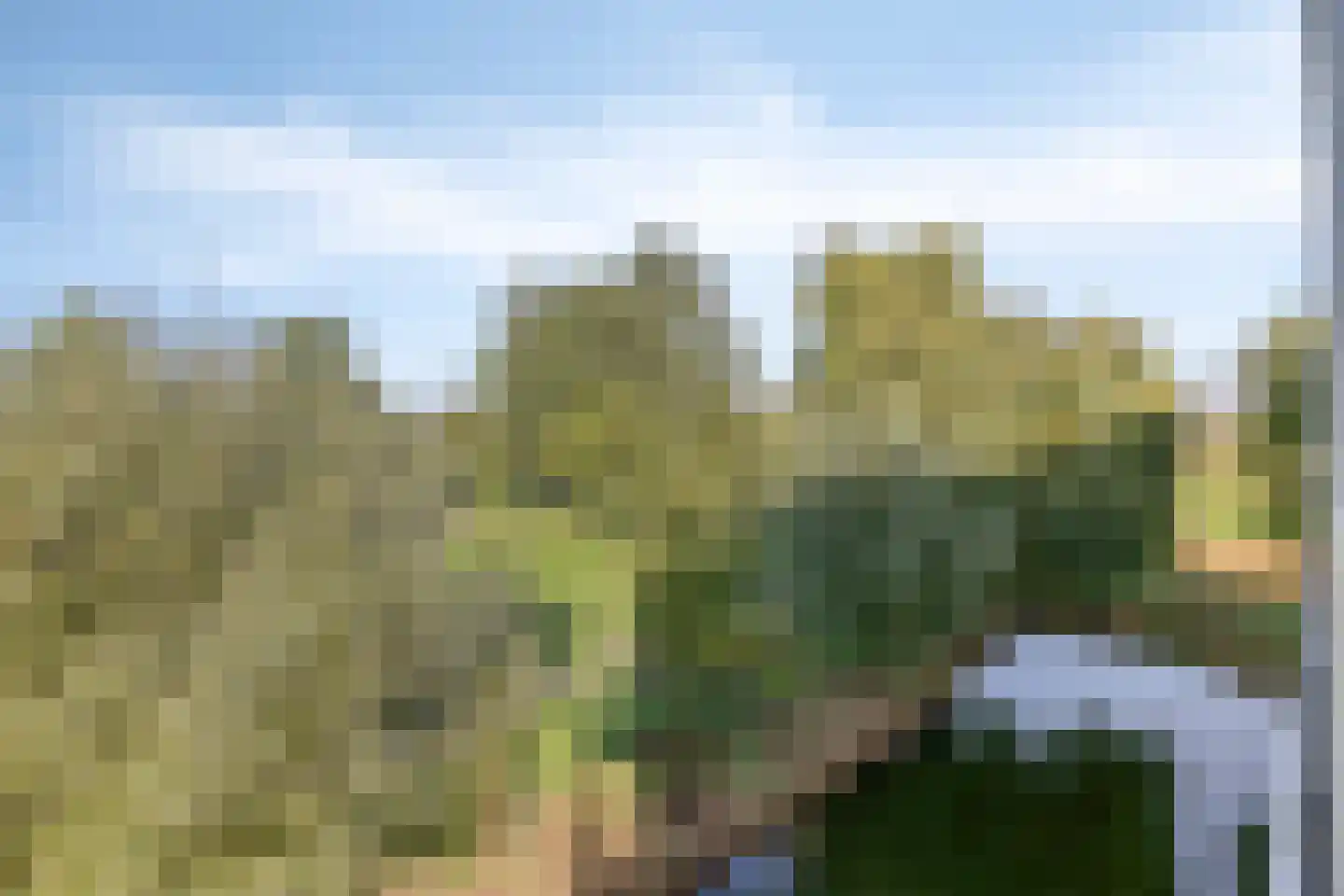 Maïsveld 32 's-Hertogenbosch thumbnail 30