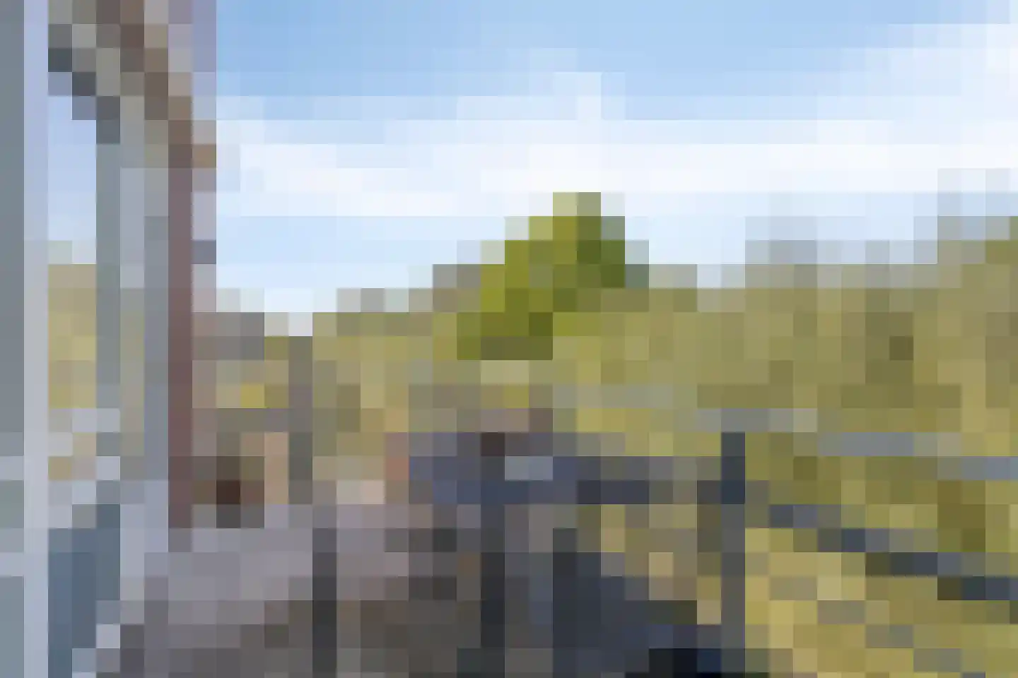 Maïsveld 32 's-Hertogenbosch thumbnail 4