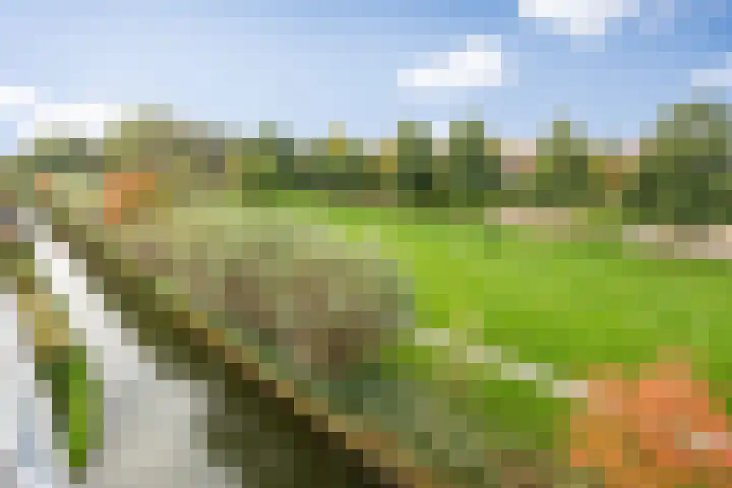 Maïsveld 40 's-Hertogenbosch thumbnail 23