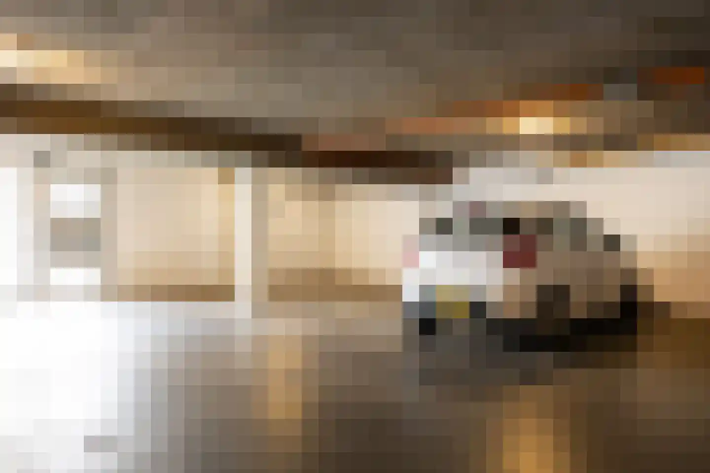 Maïsveld 40 's-Hertogenbosch thumbnail 34