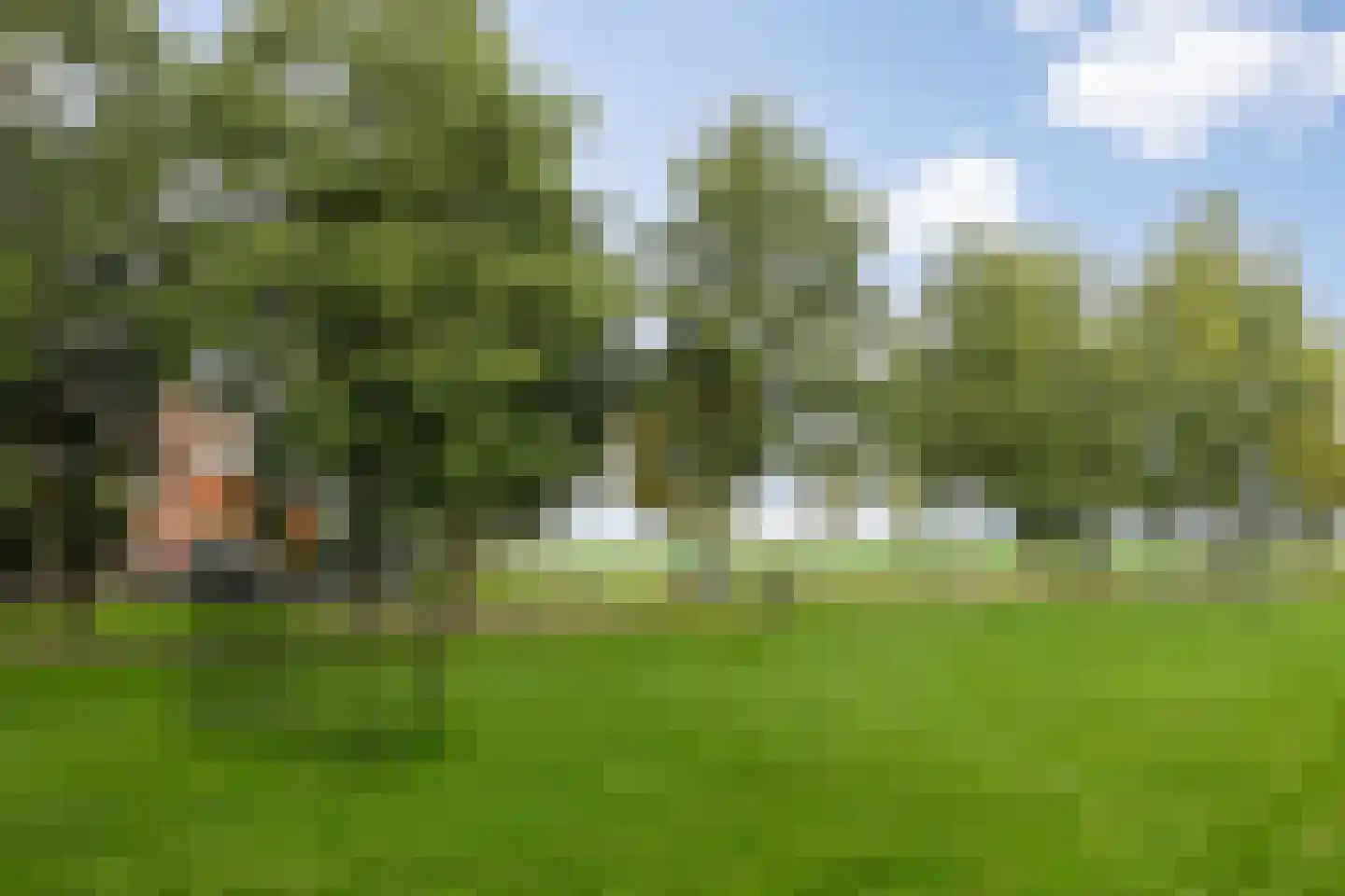 Maïsveld 40 's-Hertogenbosch thumbnail 35
