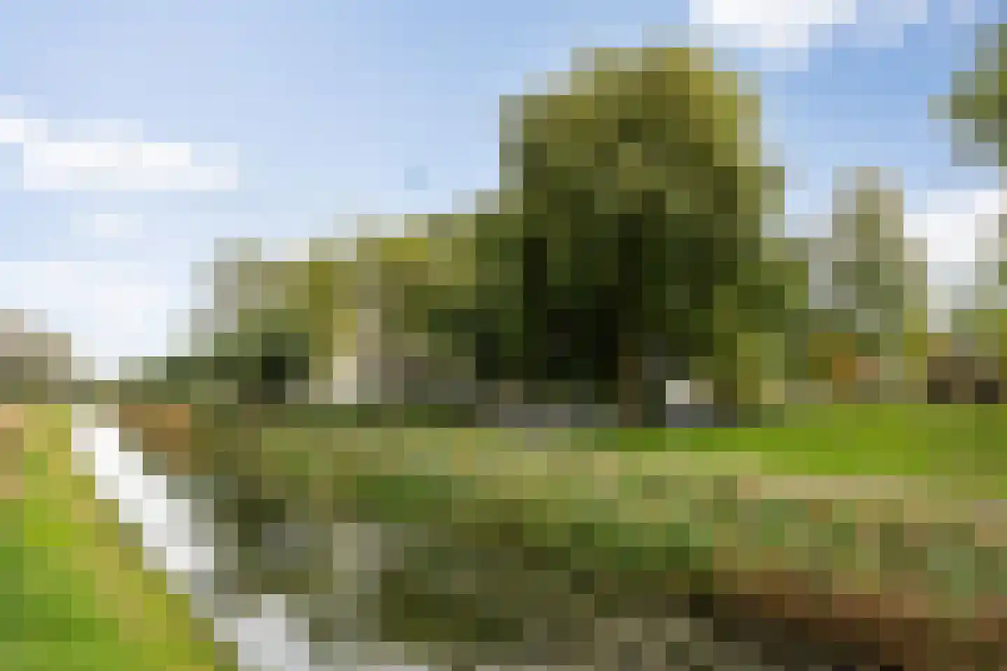 Maïsveld 40 's-Hertogenbosch thumbnail 36