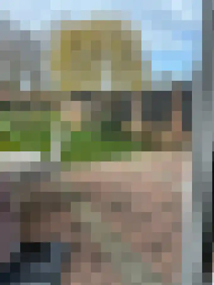 Maïsveld 5 's-Hertogenbosch thumbnail 16