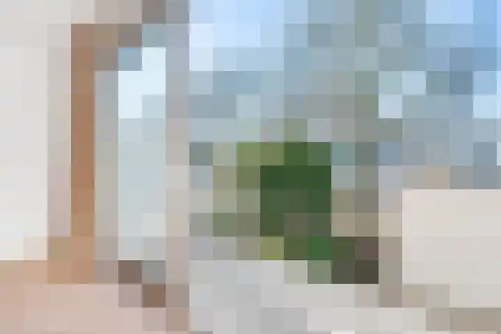 Majella 19 Amstelveen thumbnail 27