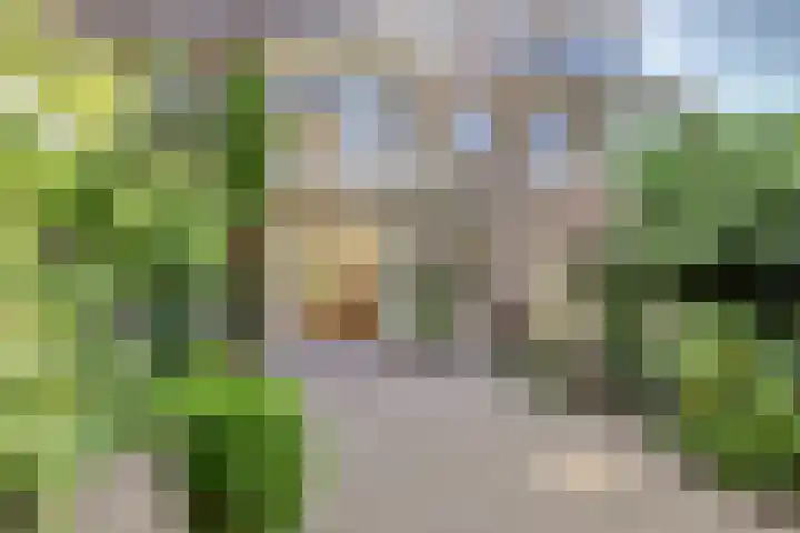 Majellapark 25 Utrecht thumbnail 13