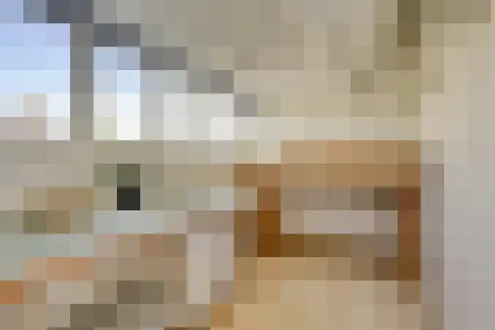 Majellapark 25 Utrecht thumbnail 23