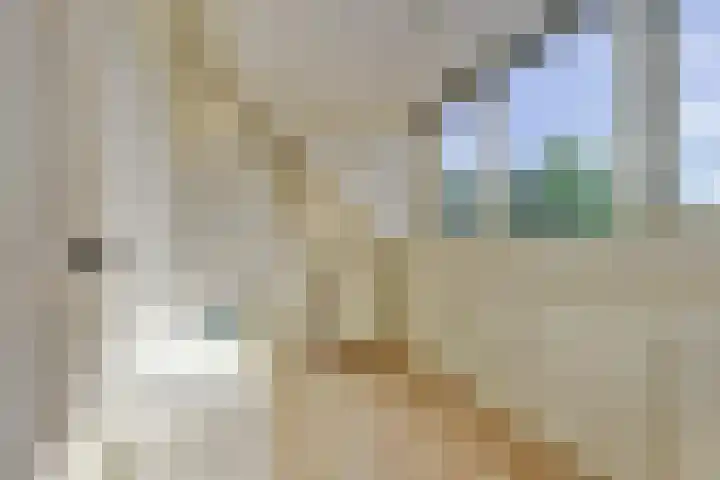 Majellapark 25 Utrecht thumbnail 25
