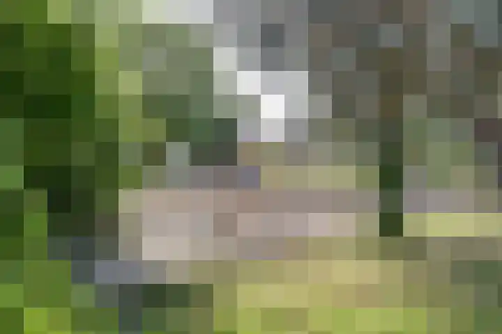 Majellapark 25 Utrecht thumbnail 30