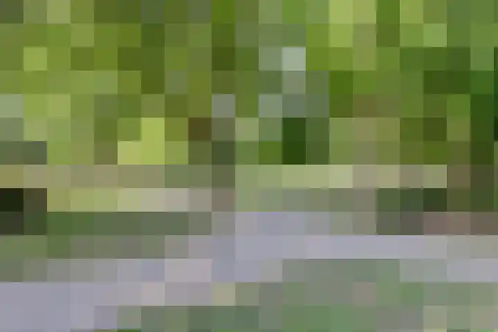 Majellapark 25 Utrecht thumbnail 31