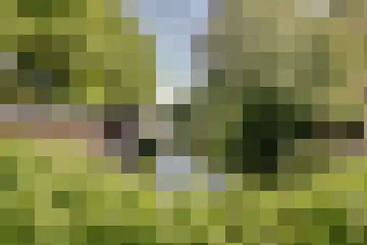 Majellapark 25 Utrecht thumbnail 32